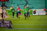 Hellmonsödter Planetenlauf © Wilhelm Wolfmayr
